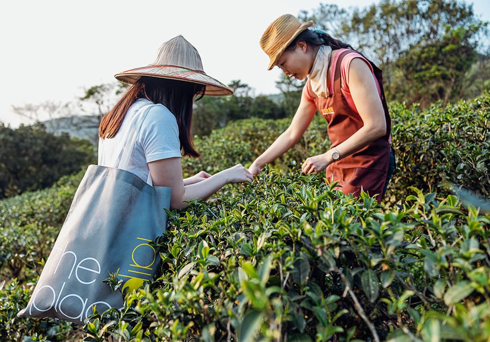 Visiting a city can be a dash through different sights, but it can also be an elegant stroll into the daily life of the locals.